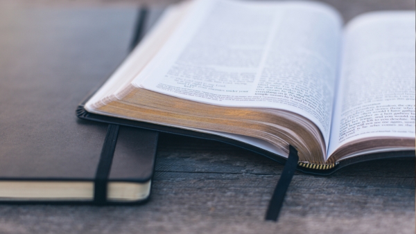 Bible Study—A Women's Lectionary for the Whole Church